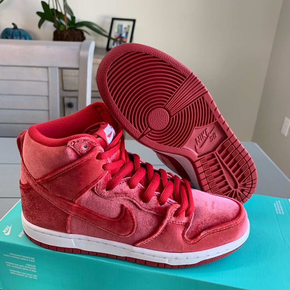Rare Nike SB Dunk High Premium